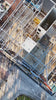 Acacia on Henley construction video